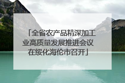 全省农产品精深加工业高质量发展推进会议在绥化海伦市召开